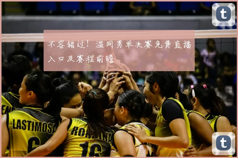 不容错过！温网男单决赛免费直播入口及赛程前瞻